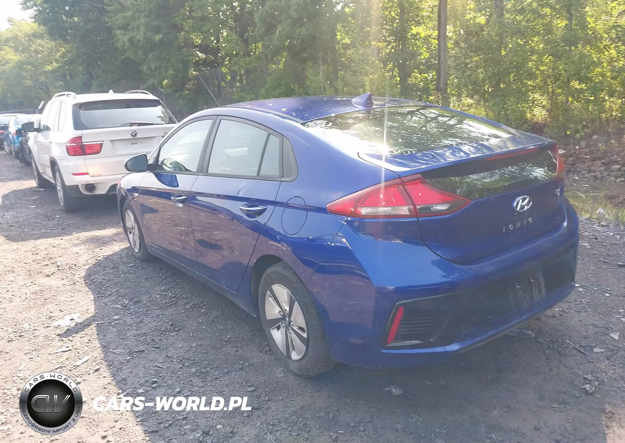 2019 Hyundai Ioniq Hybrid Blue VIN:KMHC65LCXKU128591 - 3
