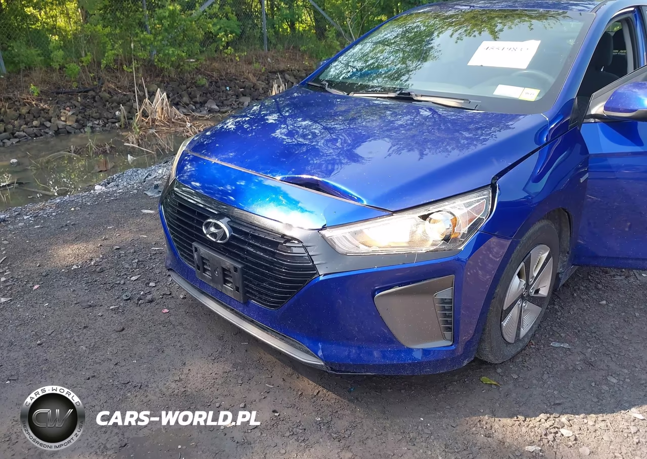 2019 Hyundai Ioniq Hybrid Blue VIN:KMHC65LCXKU128591 - 6