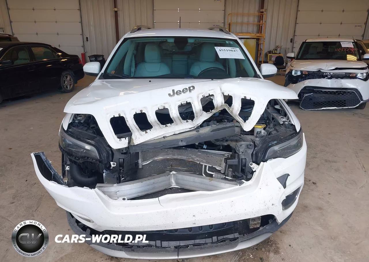 2019 Jeep Cherokee Limited 4X4 VIN:1C4PJMDXXKD257799 - 12