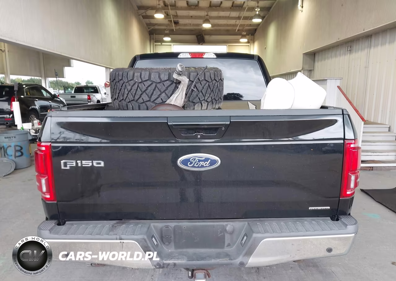 2016 Ford F-150 King Ranch-Lariat-Platinum-Xl-Xlt VIN:1FTEW1EF4GKF15413 - 17