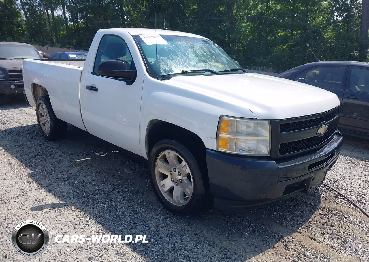 2010 Chevrolet Silverado 1500 Work Truck