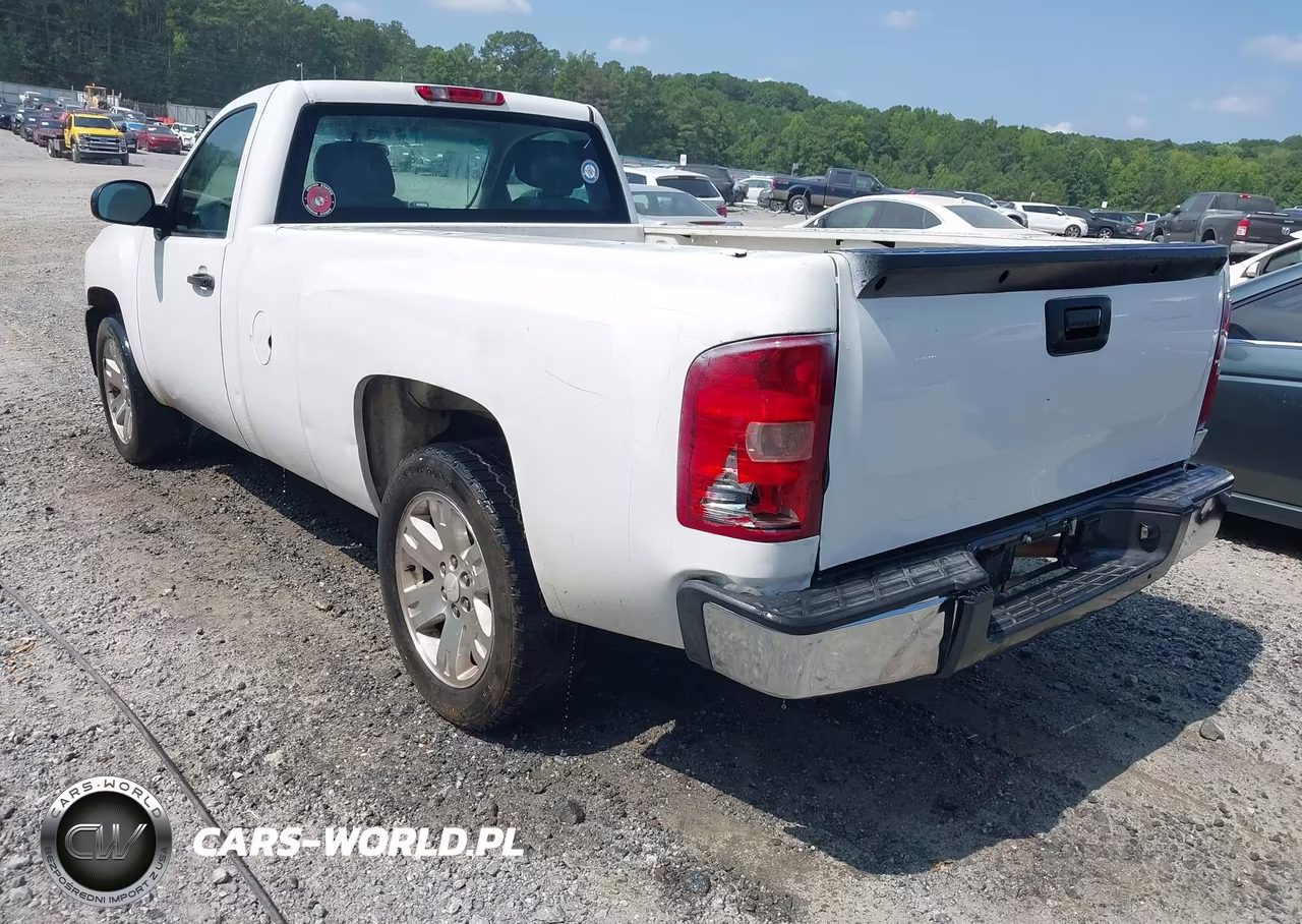 2010 Chevrolet Silverado 1500 Work Truck VIN:1GCPCPEA5AZ167757 - 3