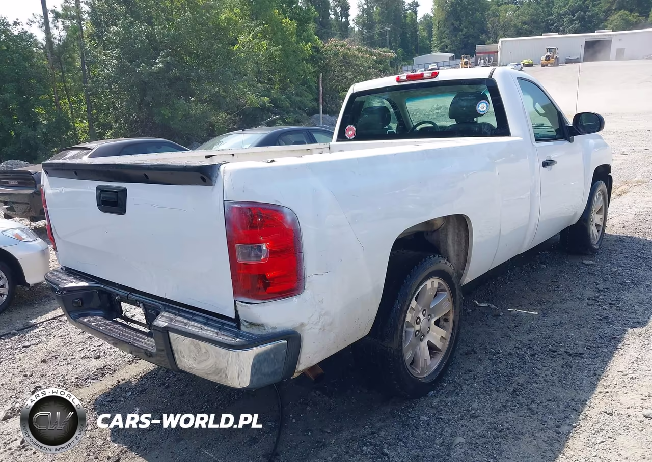 2010 Chevrolet Silverado 1500 Work Truck VIN:1GCPCPEA5AZ167757 - 4