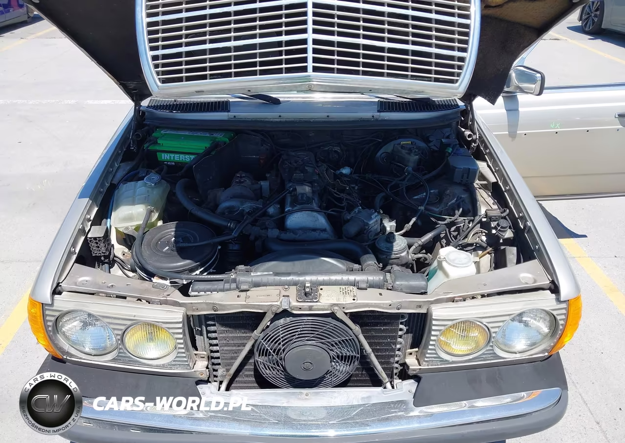 1985 Mercedes-Benz 300 Dt VIN:WDBAB33C9FA198052 - 10