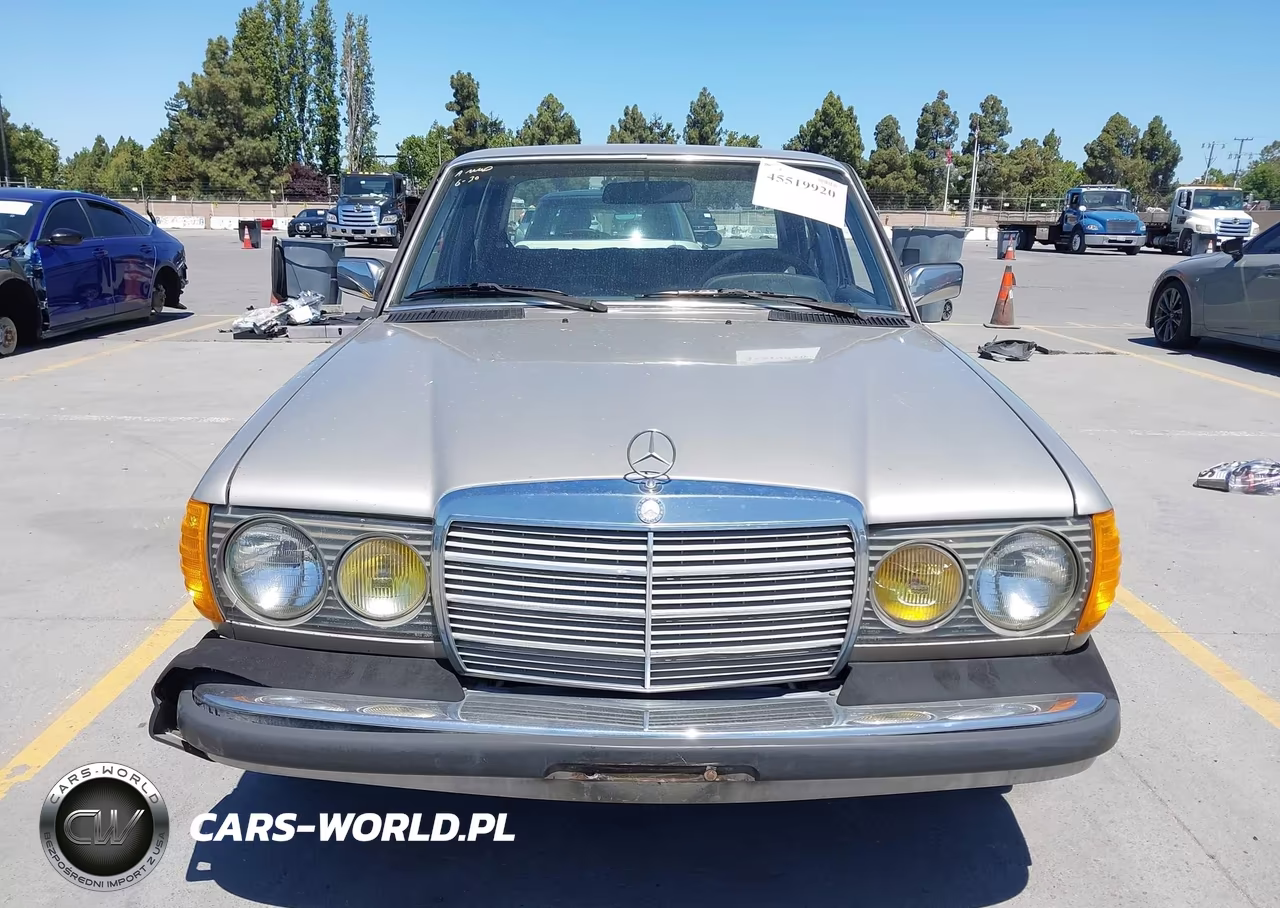 1985 Mercedes-Benz 300 Dt VIN:WDBAB33C9FA198052 - 12