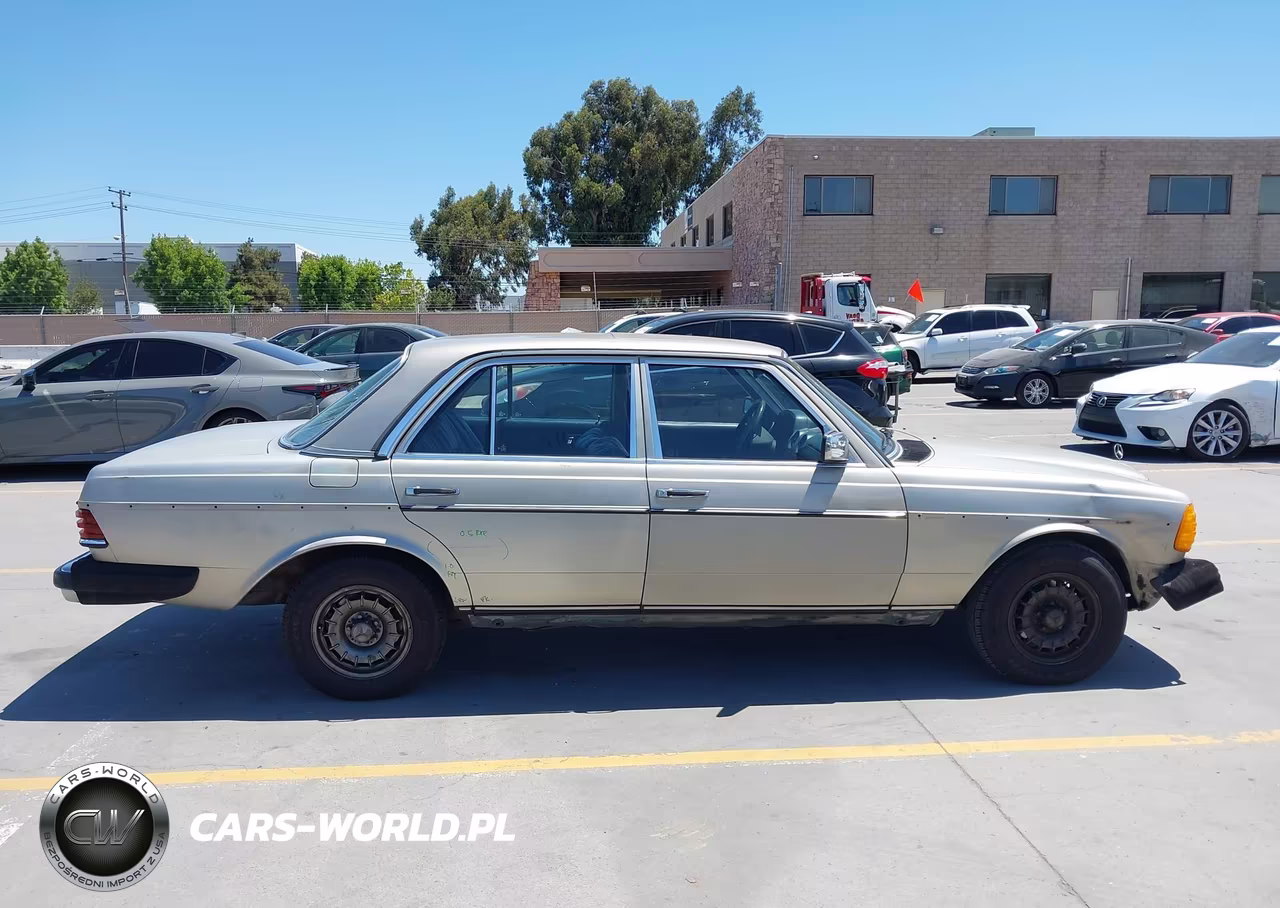 1985 Mercedes-Benz 300 Dt VIN:WDBAB33C9FA198052 - 13