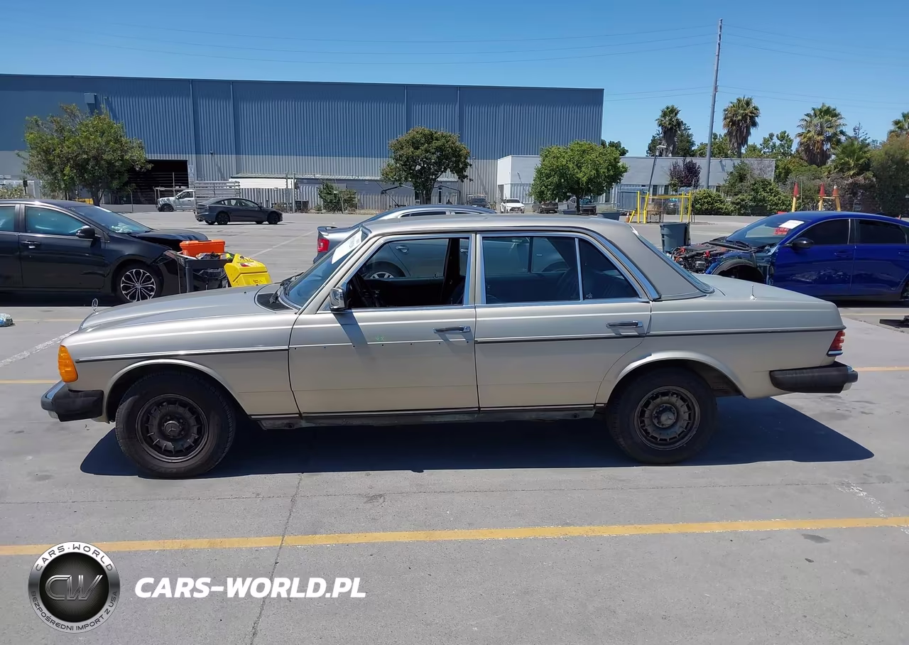 1985 Mercedes-Benz 300 Dt VIN:WDBAB33C9FA198052 - 14