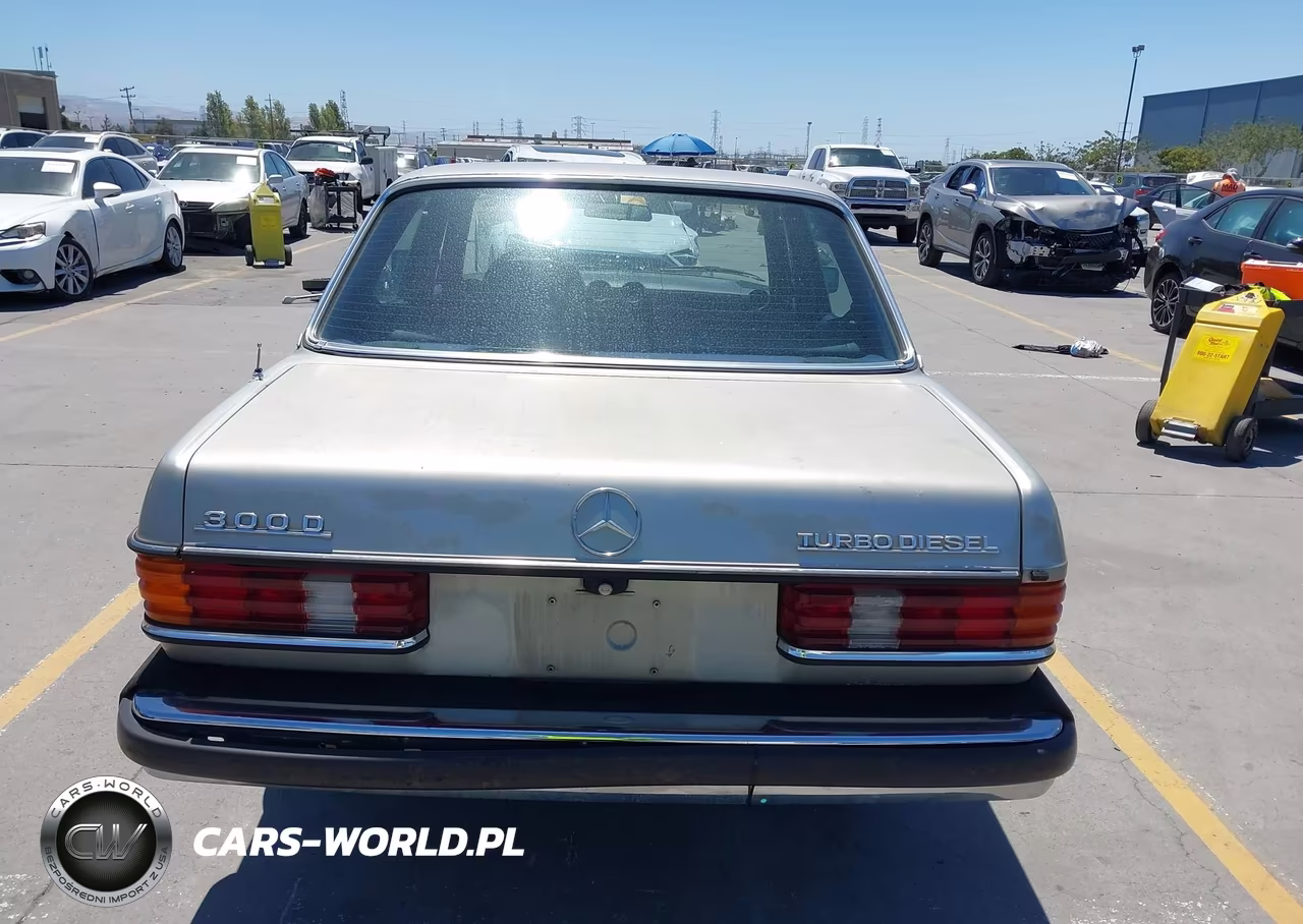 1985 Mercedes-Benz 300 Dt VIN:WDBAB33C9FA198052 - 16