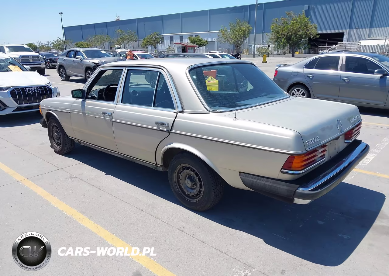 1985 Mercedes-Benz 300 Dt VIN:WDBAB33C9FA198052 - 3