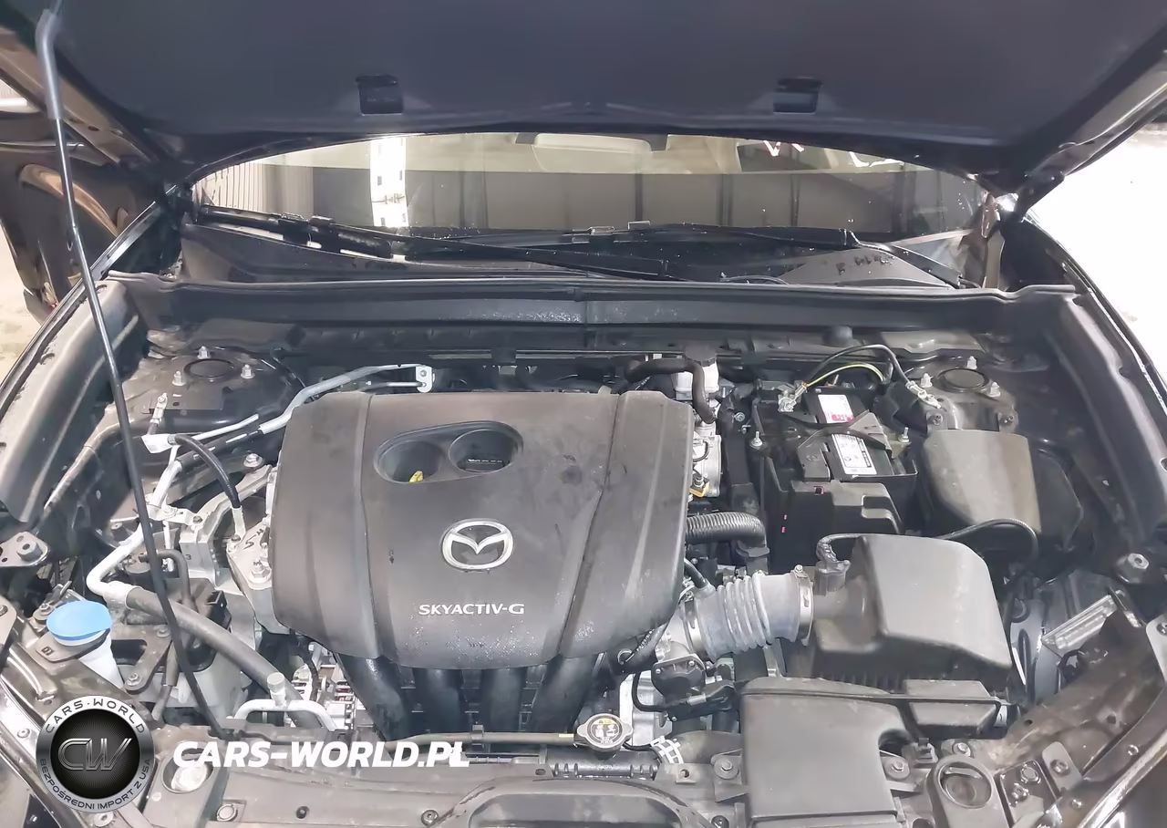 2020 Mazda Cx-30 Premium Package VIN:3MVDMBEMXLM106355 - 10