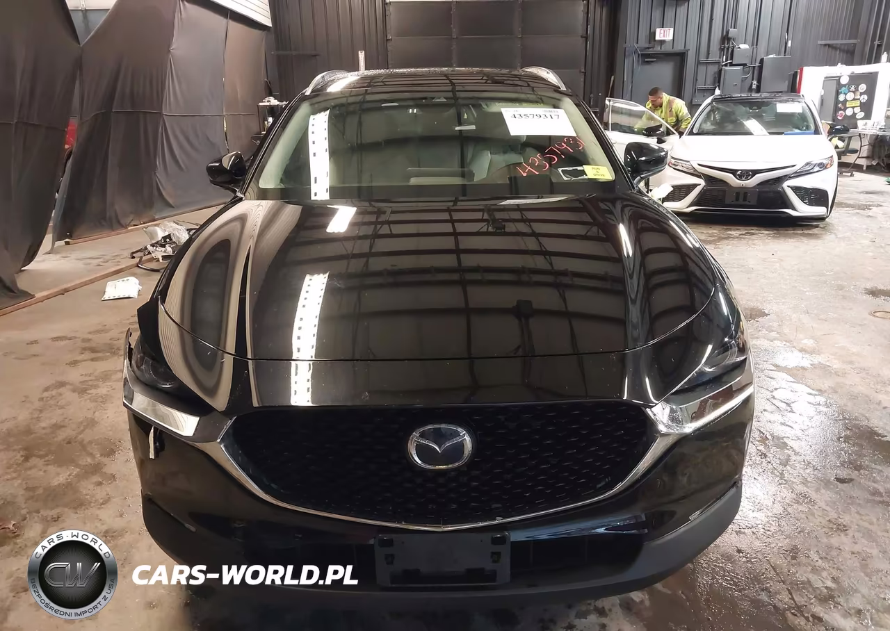 2020 Mazda Cx-30 Premium Package VIN:3MVDMBEMXLM106355 - 12