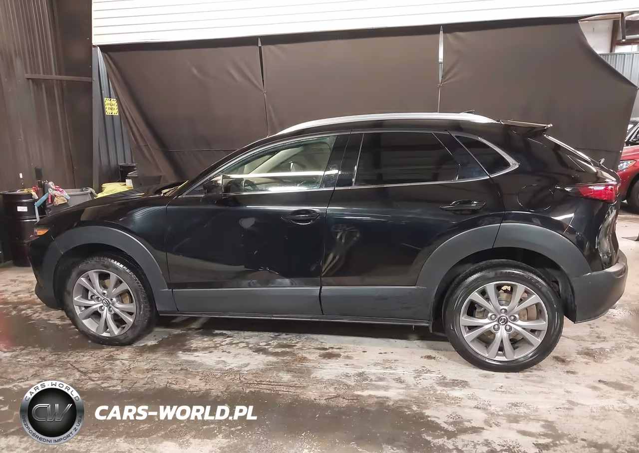 2020 Mazda Cx-30 Premium Package VIN:3MVDMBEMXLM106355 - 14