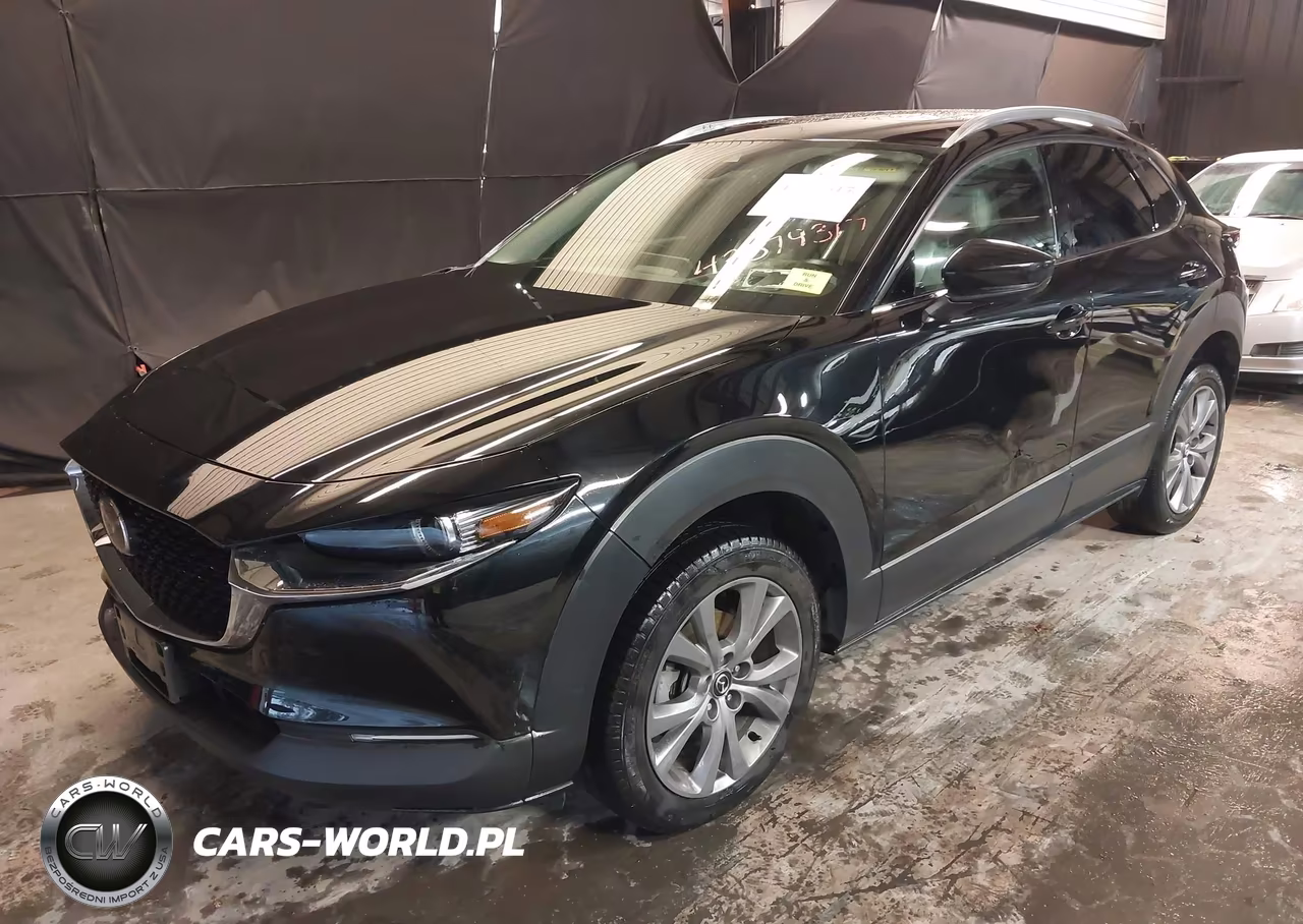 2020 Mazda Cx-30 Premium Package VIN:3MVDMBEMXLM106355 - 2