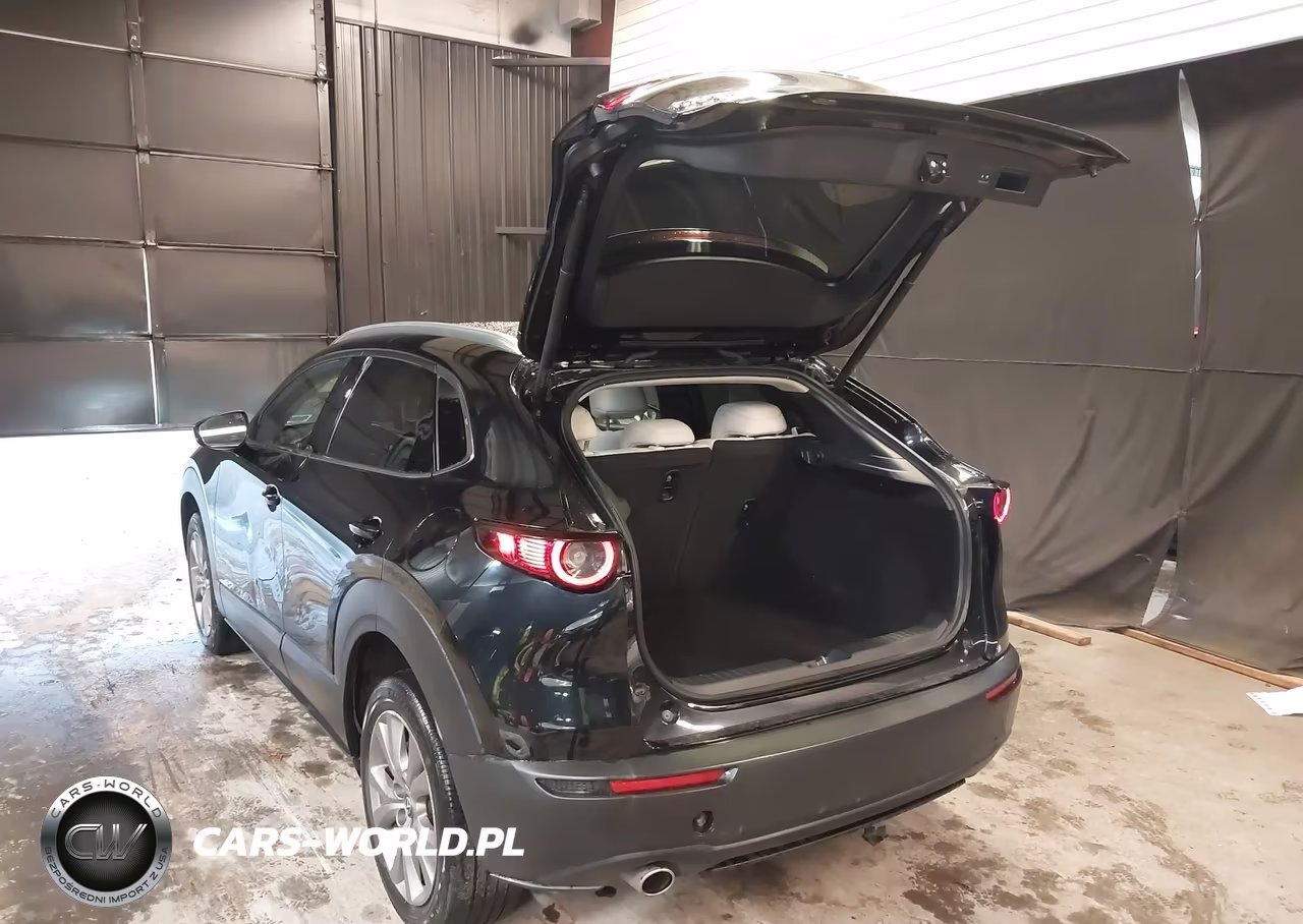 2020 Mazda Cx-30 Premium Package VIN:3MVDMBEMXLM106355 - 3