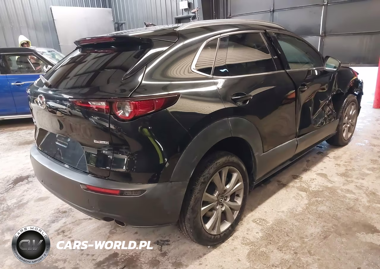 2020 Mazda Cx-30 Premium Package VIN:3MVDMBEMXLM106355 - 4