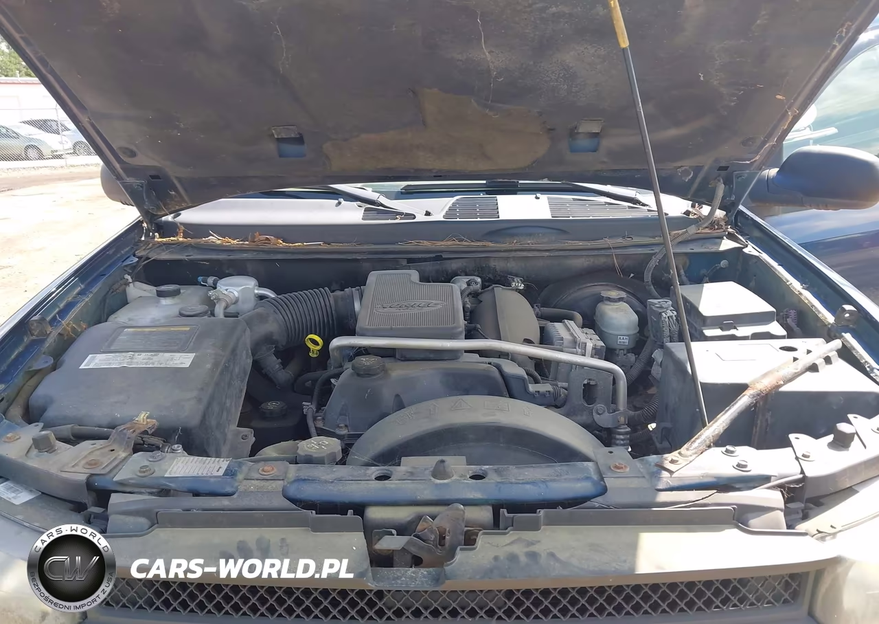 2004 Chevrolet Trailblazer Lt VIN:1GNDT13S342224876 - 10