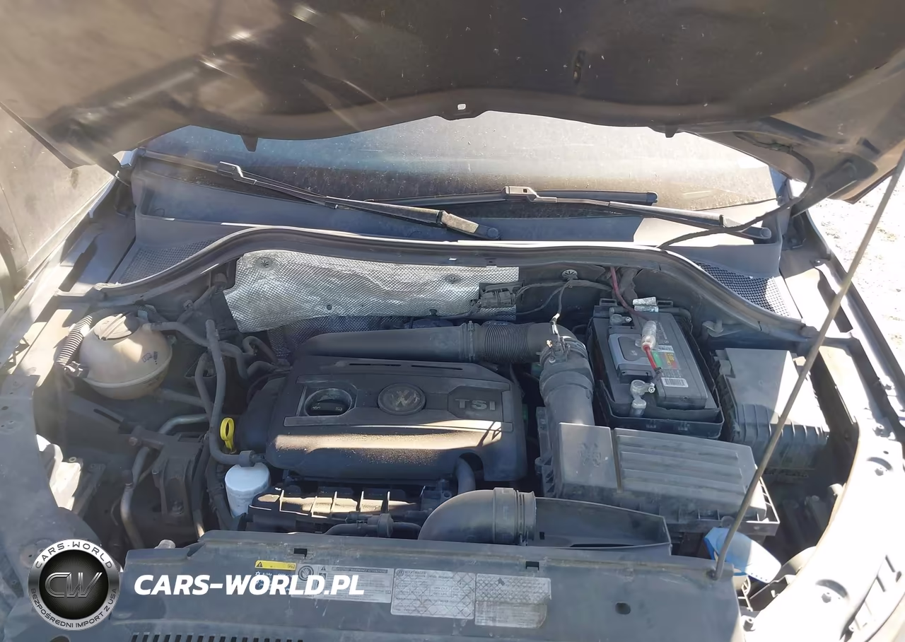 2014 Volkswagen Tiguan Sel VIN:WVGBV3AX2EW527254 - 10