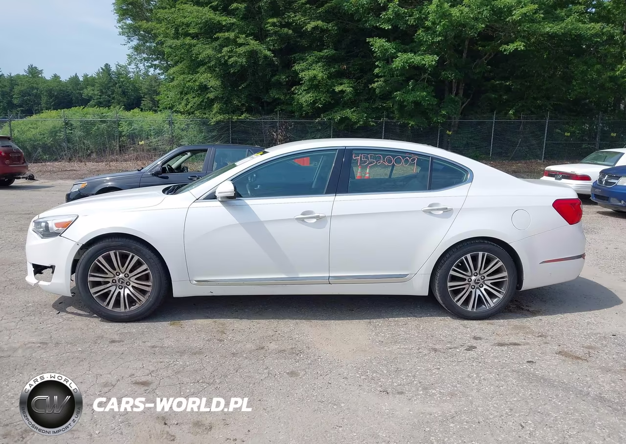 2014 Kia Cadenza Premium VIN:KNALN4D77E5134590 - 12