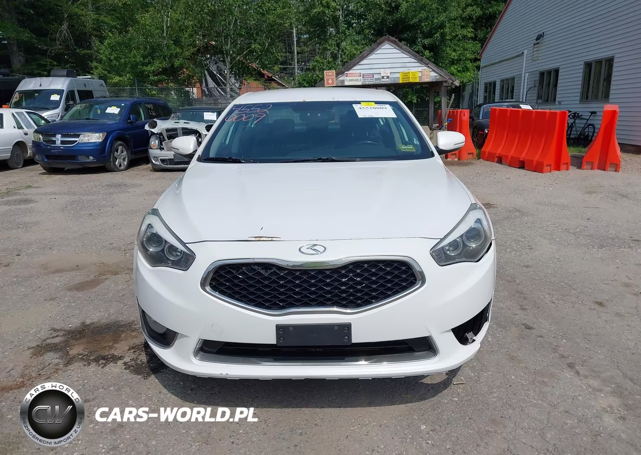 2014 Kia Cadenza Premium VIN:KNALN4D77E5134590 - 13