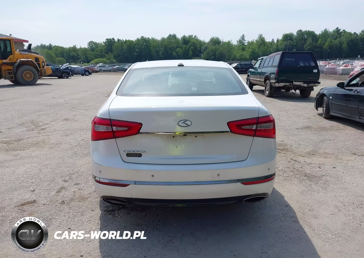 2014 Kia Cadenza Premium VIN:KNALN4D77E5134590 - 15