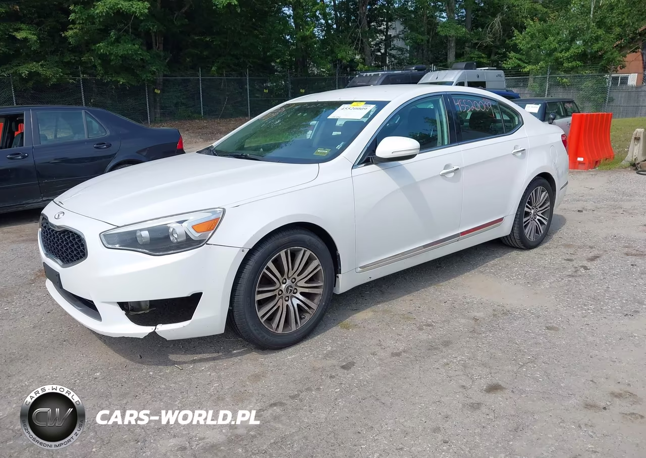 2014 Kia Cadenza Premium VIN:KNALN4D77E5134590 - 2