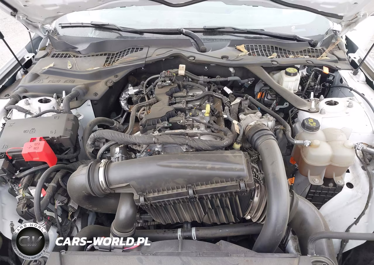 2024 Ford Mustang Ecoboost -Ecoboost Premium VIN:1FAGP8UH9R5113198 - 10