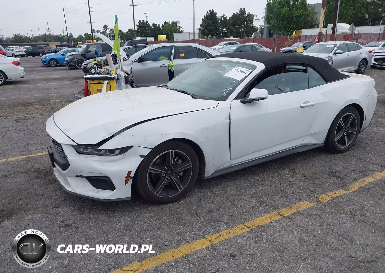 2024 Ford Mustang Ecoboost -Ecoboost Premium VIN:1FAGP8UH9R5113198 - 2