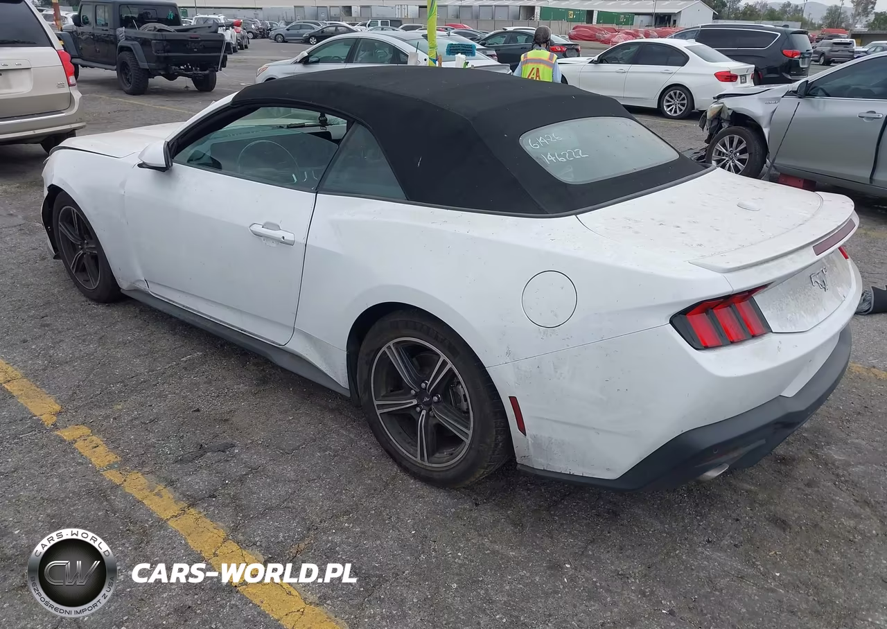 2024 Ford Mustang Ecoboost -Ecoboost Premium VIN:1FAGP8UH9R5113198 - 3