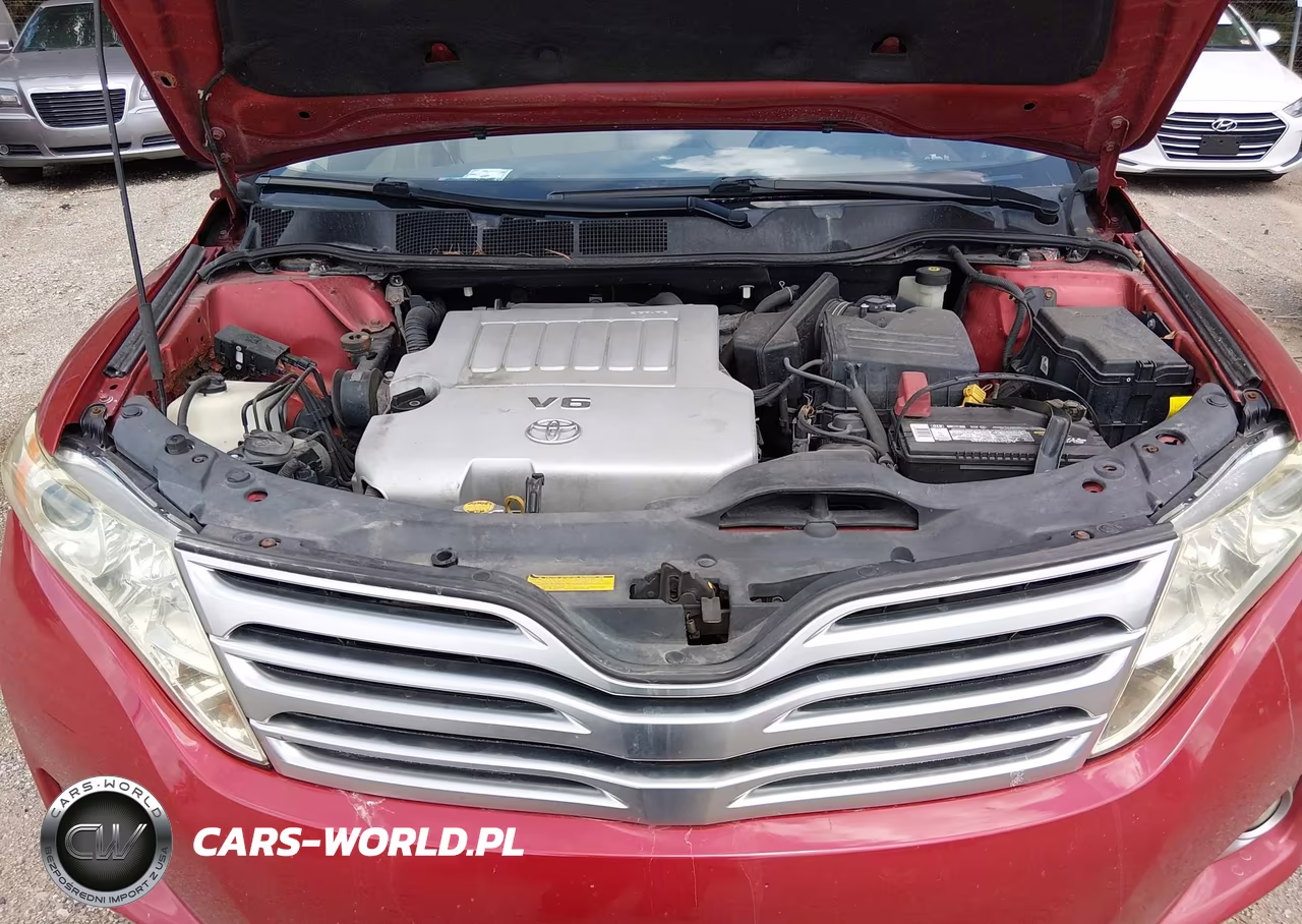 2010 Toyota Venza Base V6 VIN:4T3BK3BB5AU031969 - 10