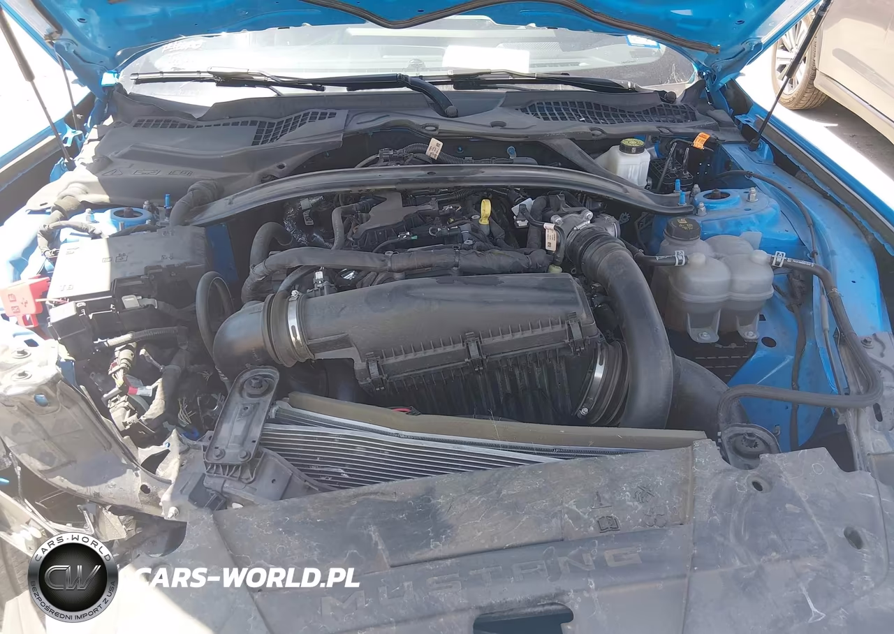 2025 Ford Mustang Ecoboost -Ecoboost Premium VIN:1FAGP8UH0S5108221 - 10