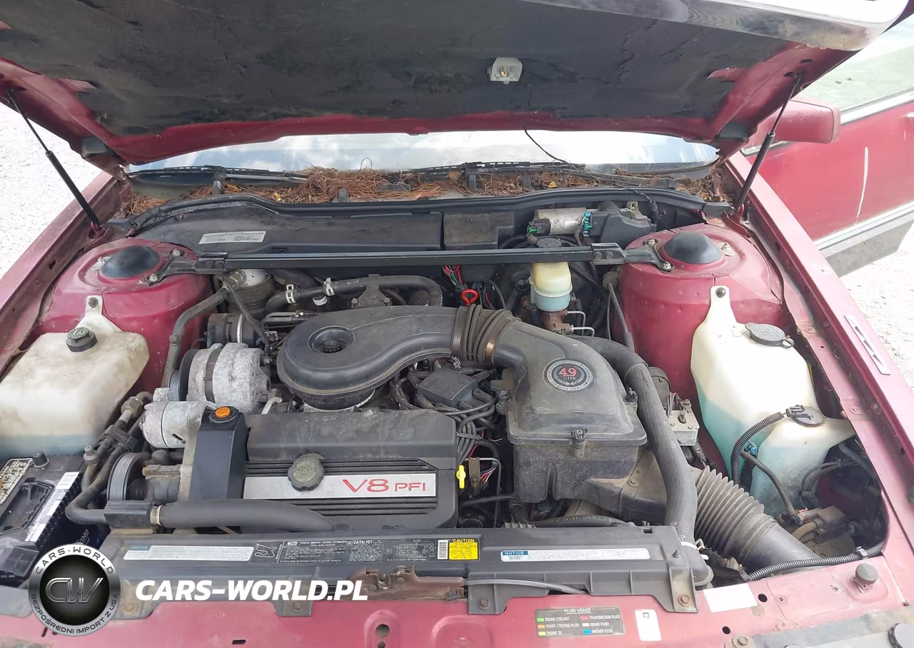 1991 Cadillac Deville VIN:1G6CD53B7M4341098 - 10