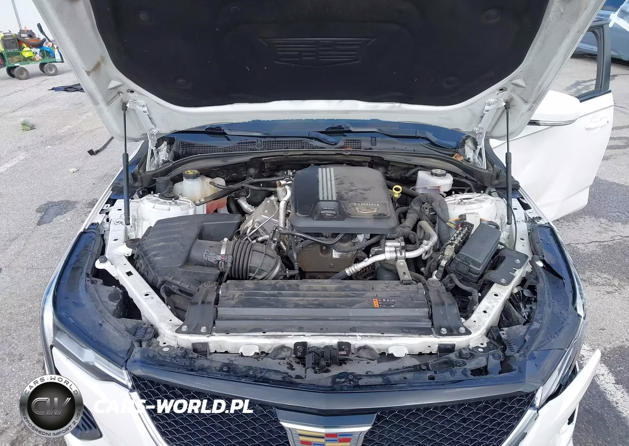 2022 Cadillac Ct4 Sport VIN:1G6DG5RK0N0115898 - 10