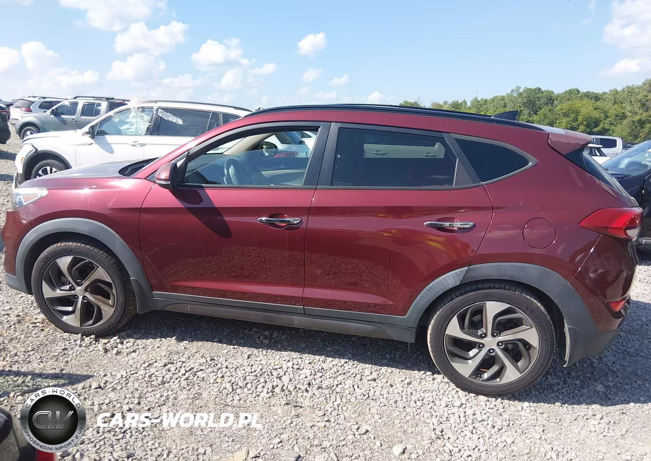 2016 Hyundai Tucson Limited VIN:KM8J33A25GU061842 - 14