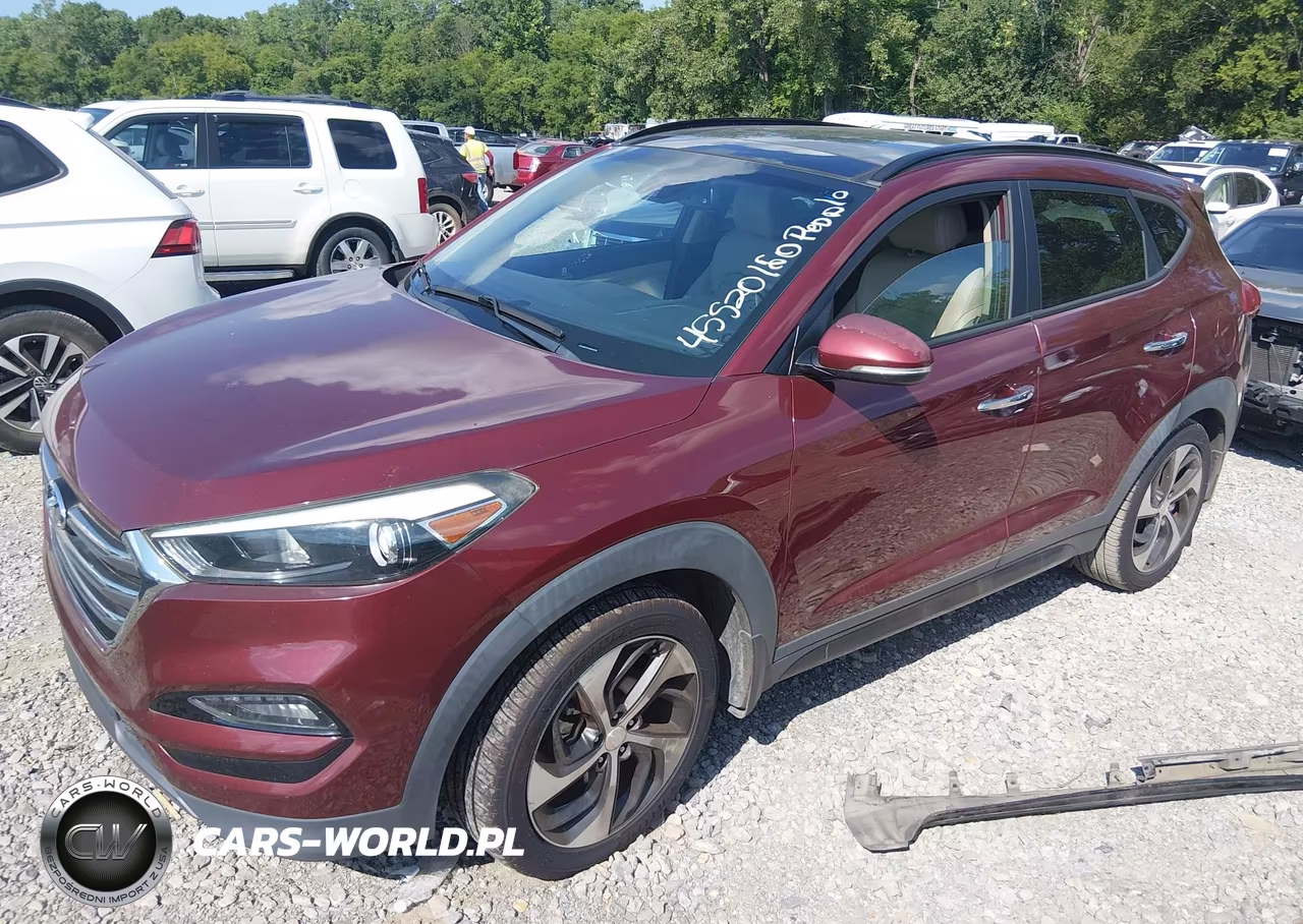 2016 Hyundai Tucson Limited VIN:KM8J33A25GU061842 - 2