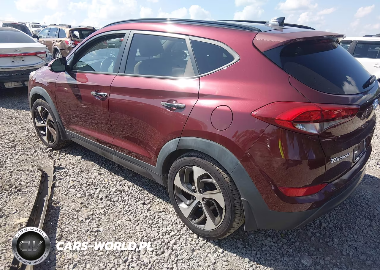 2016 Hyundai Tucson Limited VIN:KM8J33A25GU061842 - 3