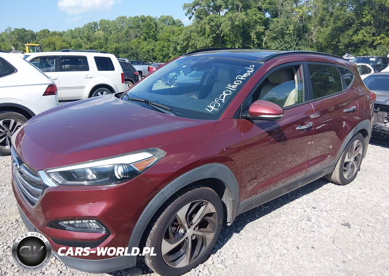 2016 Hyundai Tucson Limited VIN:KM8J33A25GU061842 - 6