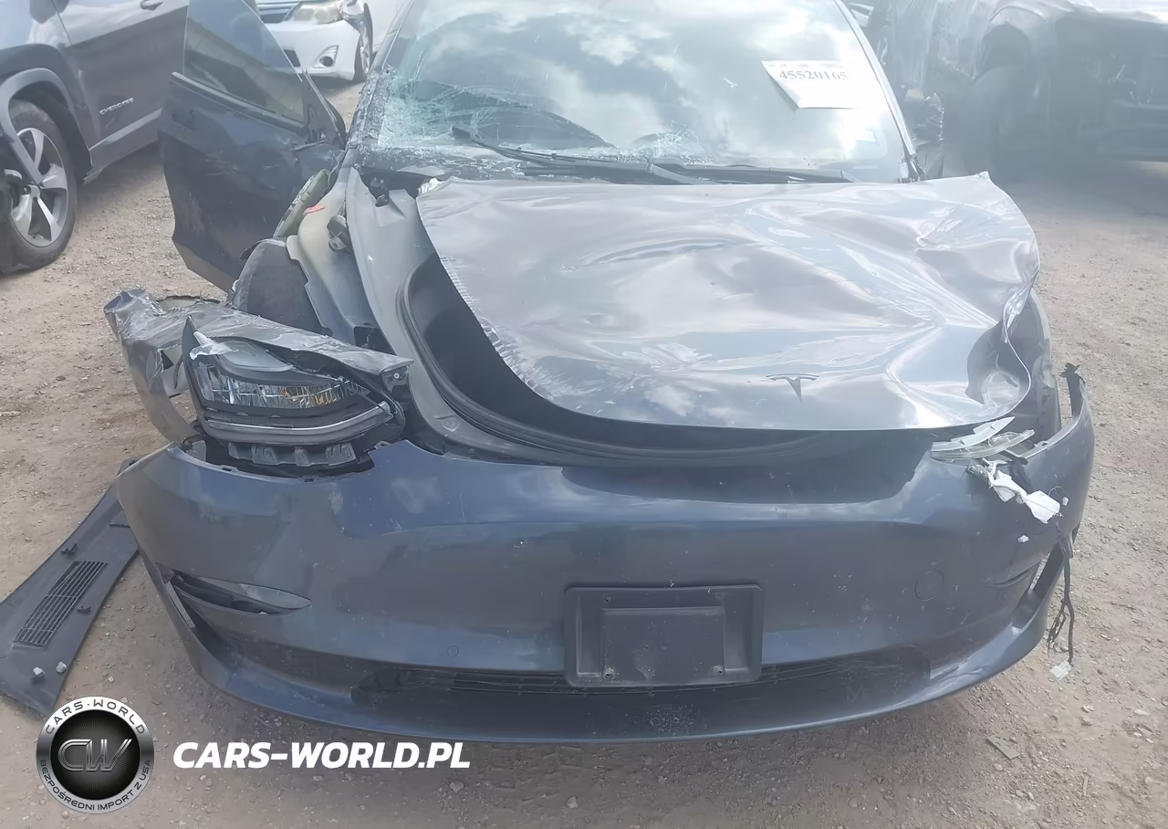 2021 Tesla Model 3 Long Range Dual Motor All-Wheel Drive VIN:5YJ3E1EB1MF849060 - 11