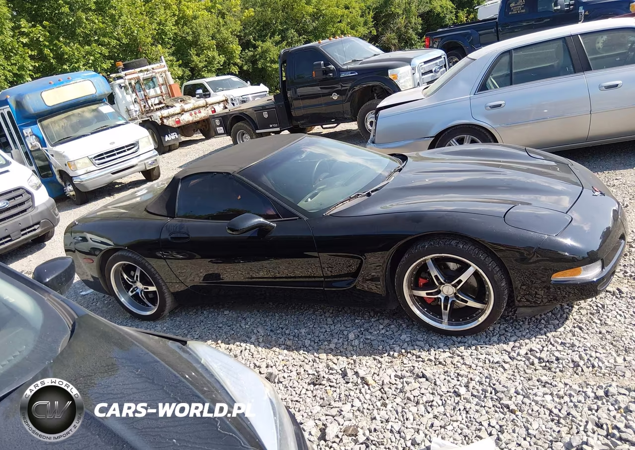 2002 Chevrolet Corvette VIN:1G1YY32G325108375 - 13