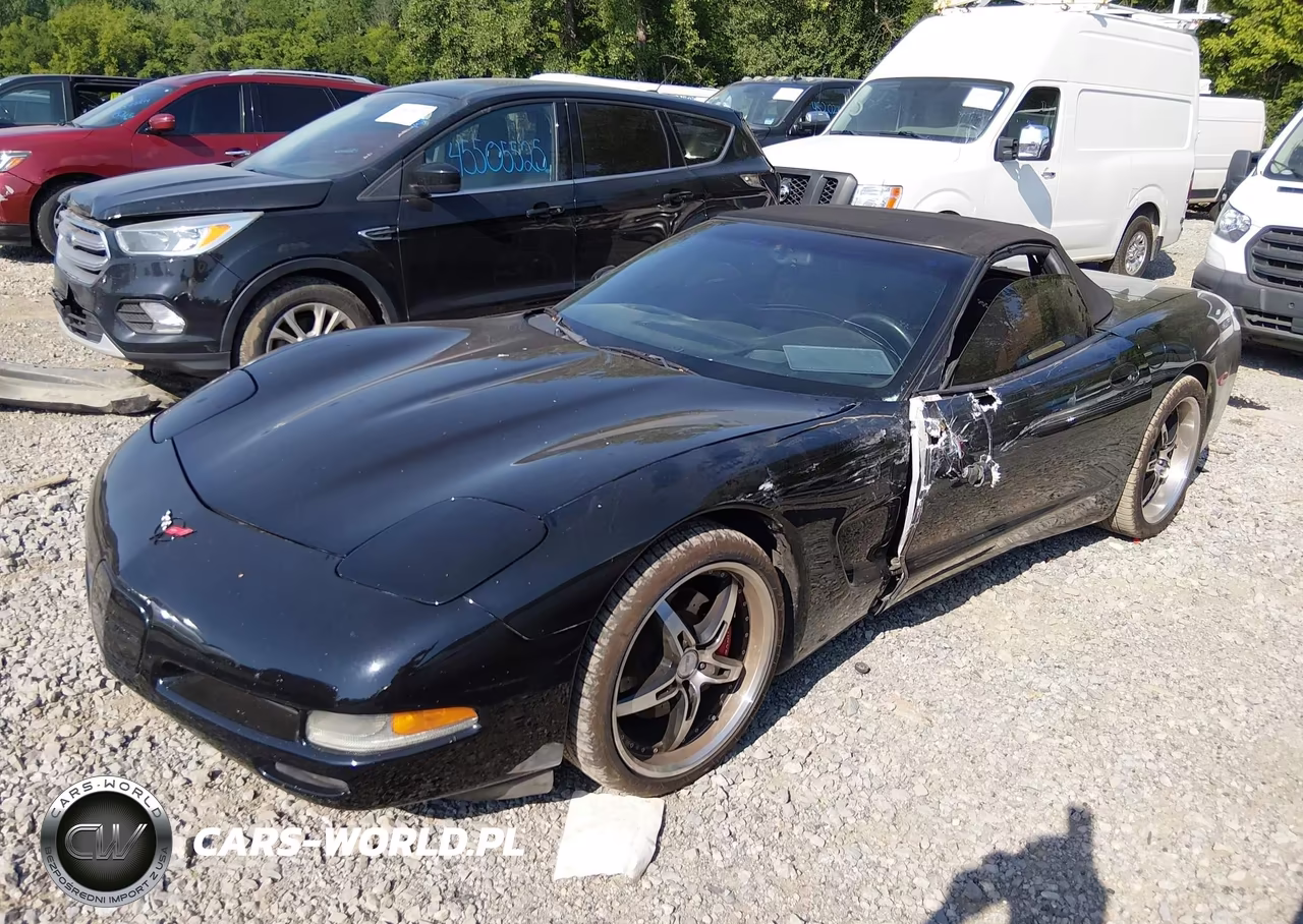 2002 Chevrolet Corvette VIN:1G1YY32G325108375 - 2