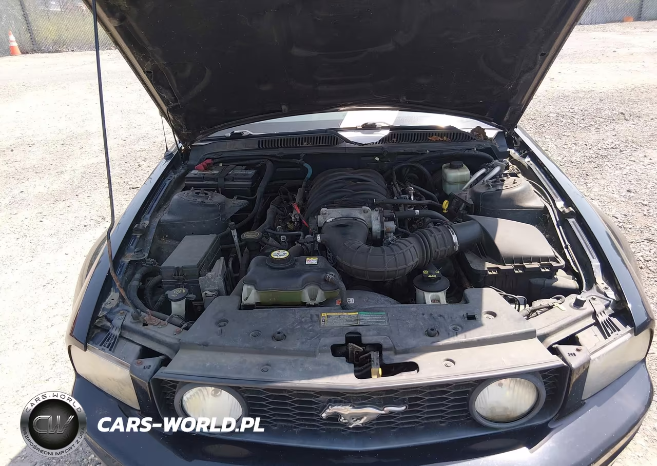 2006 Ford Mustang Gt VIN:1ZVHT82H665116064 - 10