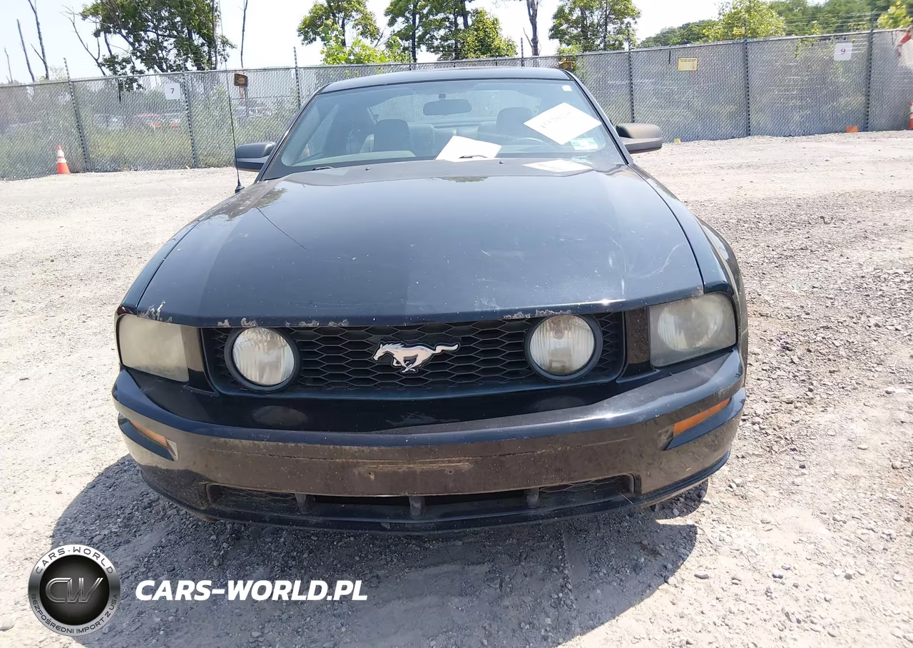 2006 Ford Mustang Gt VIN:1ZVHT82H665116064 - 12