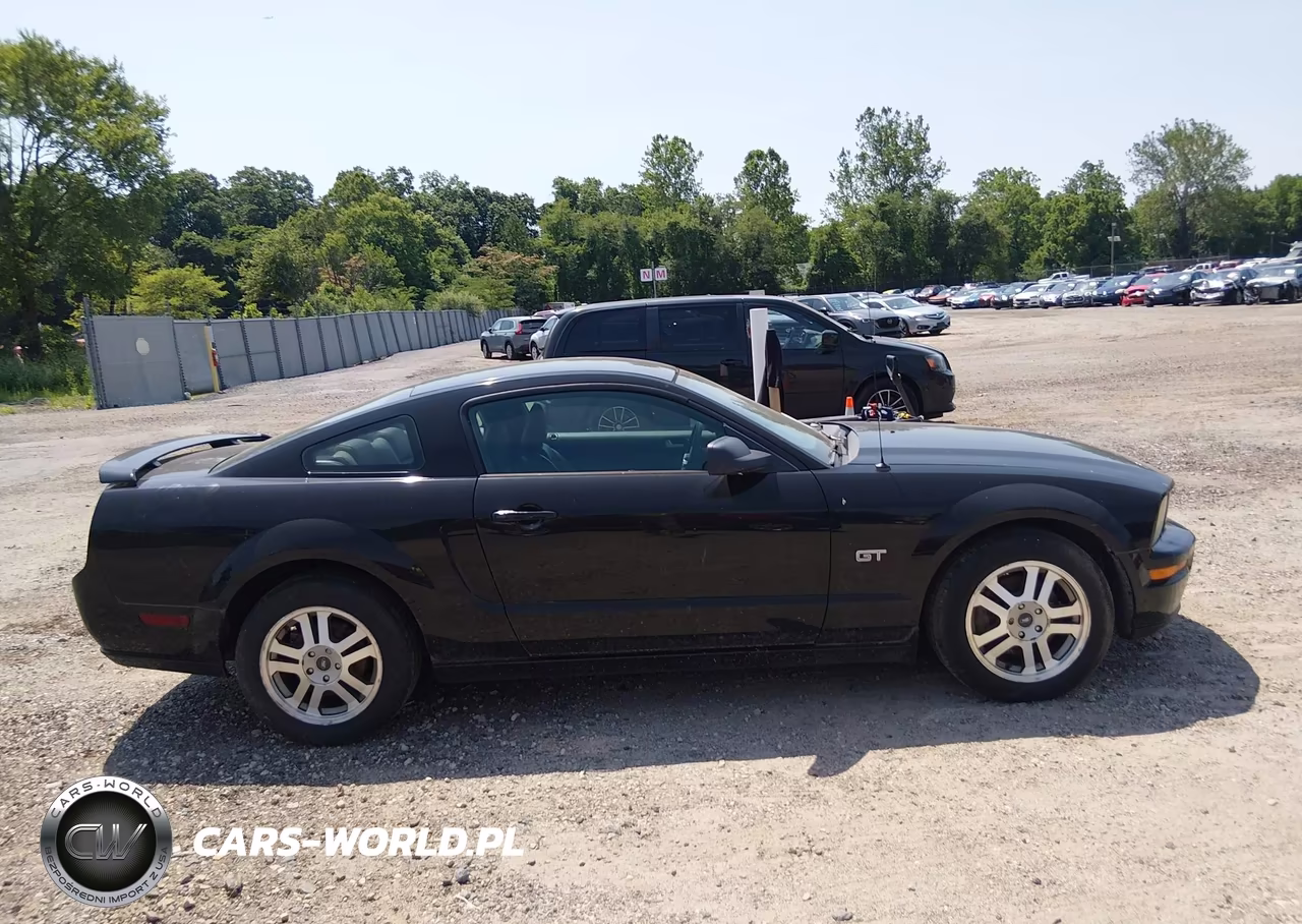 2006 Ford Mustang Gt VIN:1ZVHT82H665116064 - 13
