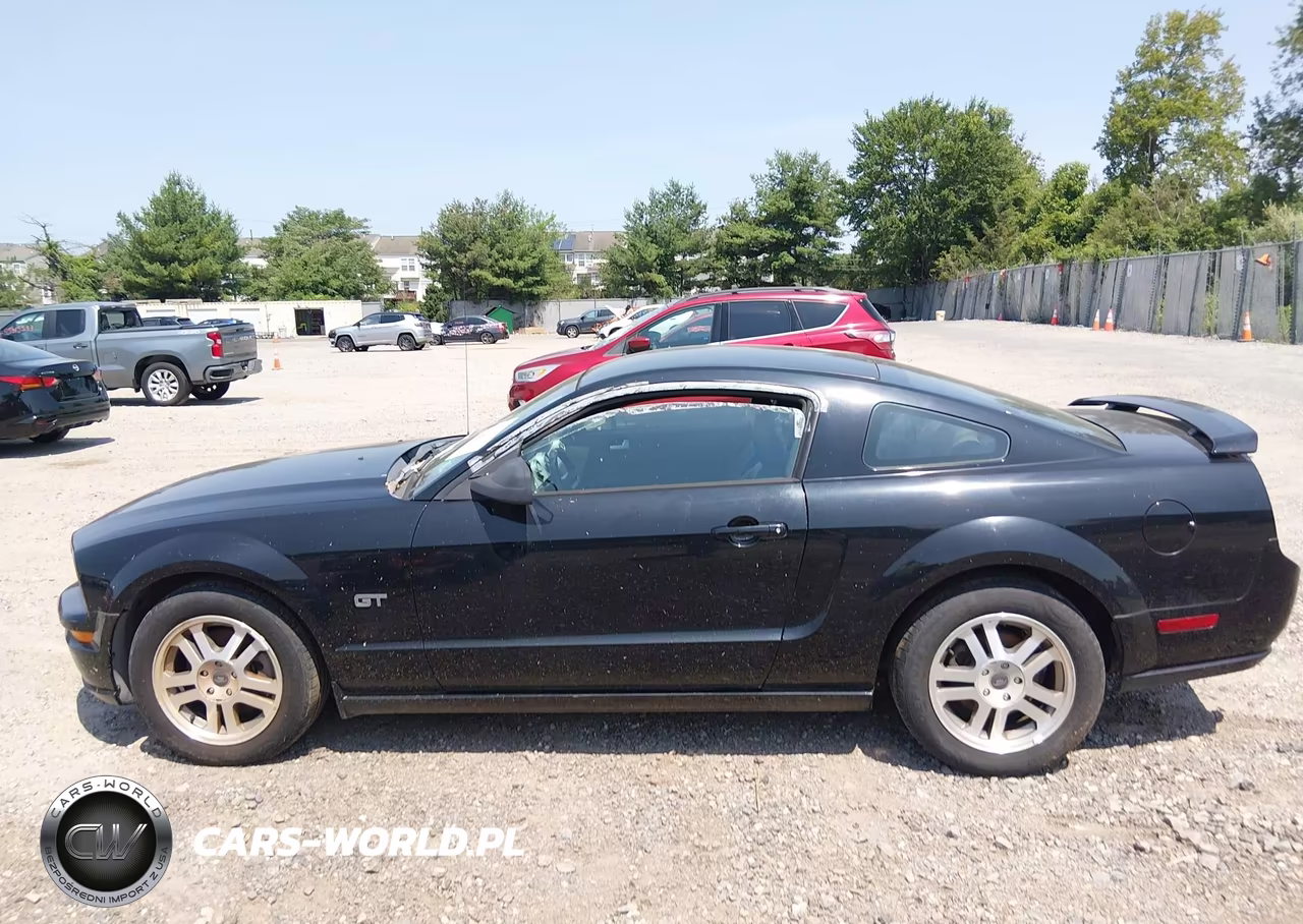 2006 Ford Mustang Gt VIN:1ZVHT82H665116064 - 14