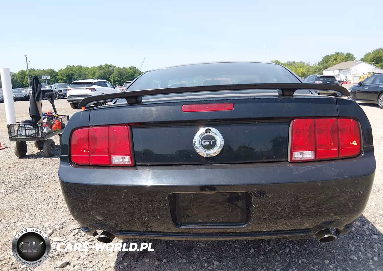 2006 Ford Mustang Gt VIN:1ZVHT82H665116064 - 16