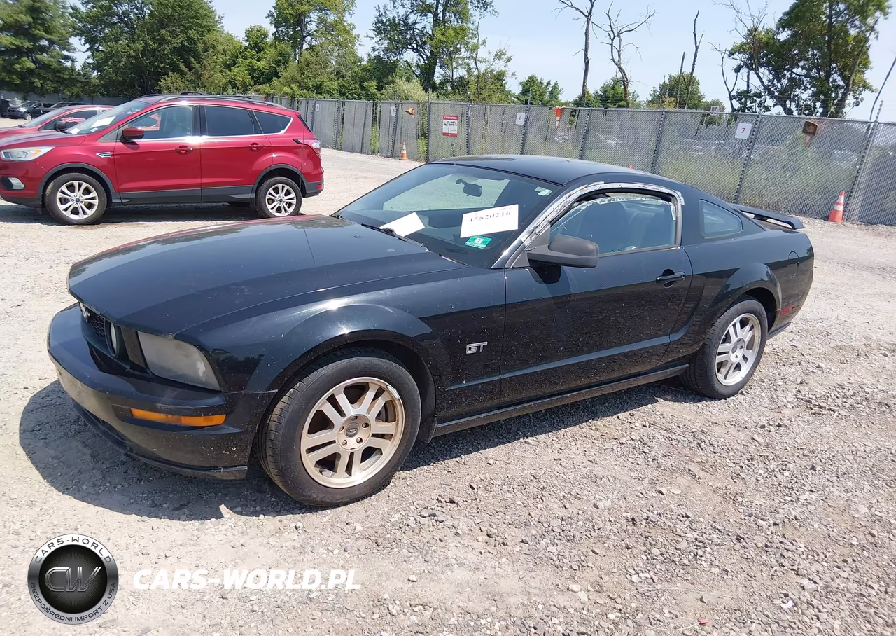 2006 Ford Mustang Gt VIN:1ZVHT82H665116064 - 2