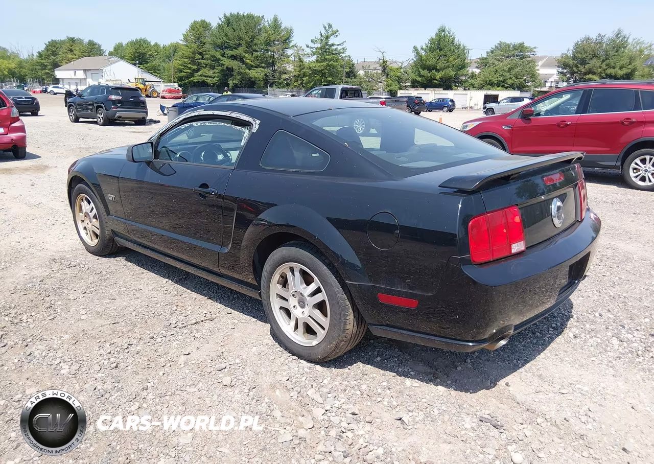 2006 Ford Mustang Gt VIN:1ZVHT82H665116064 - 3