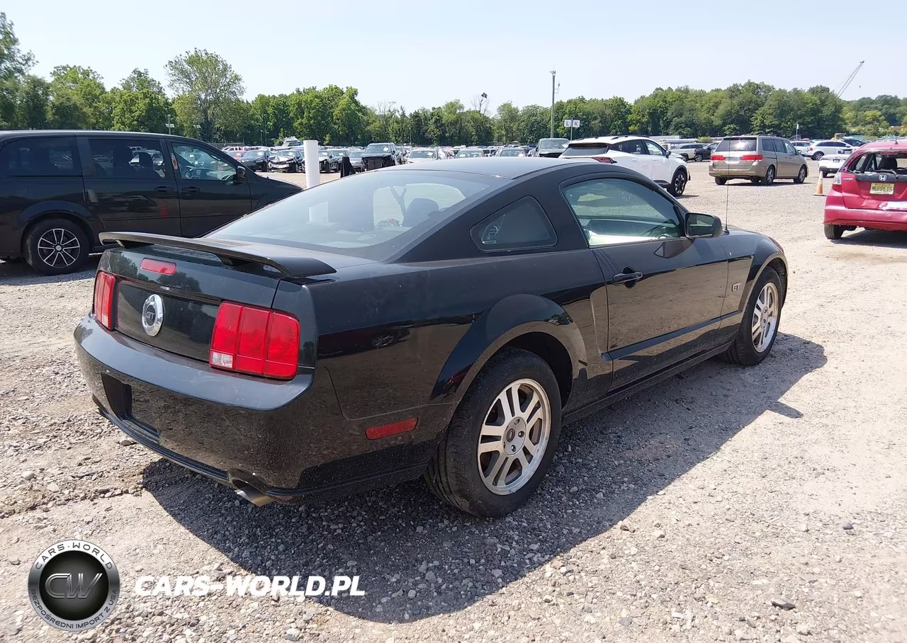 2006 Ford Mustang Gt VIN:1ZVHT82H665116064 - 4