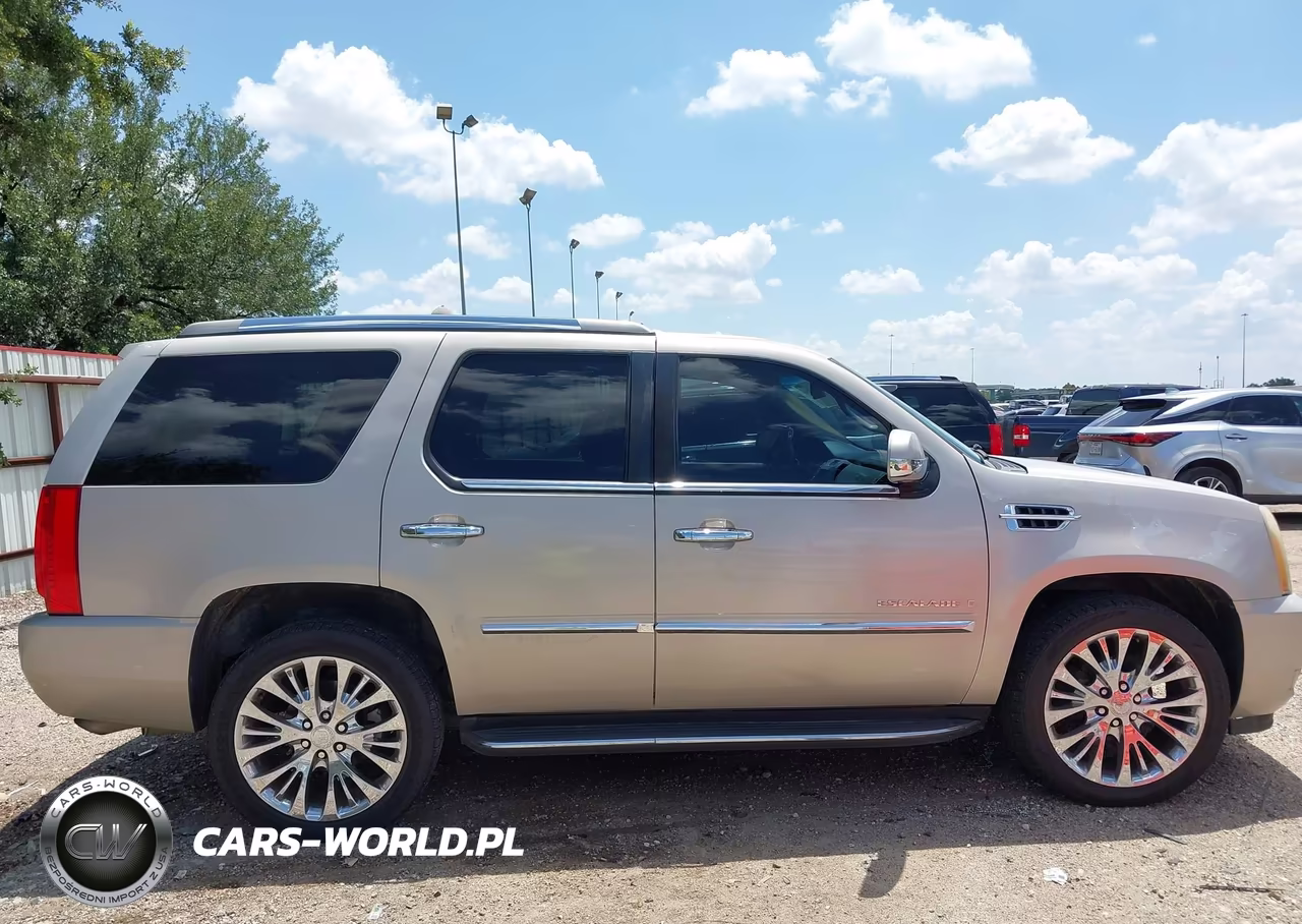 2009 Cadillac Escalade Standard VIN:1GYFK13259R105126 - 12