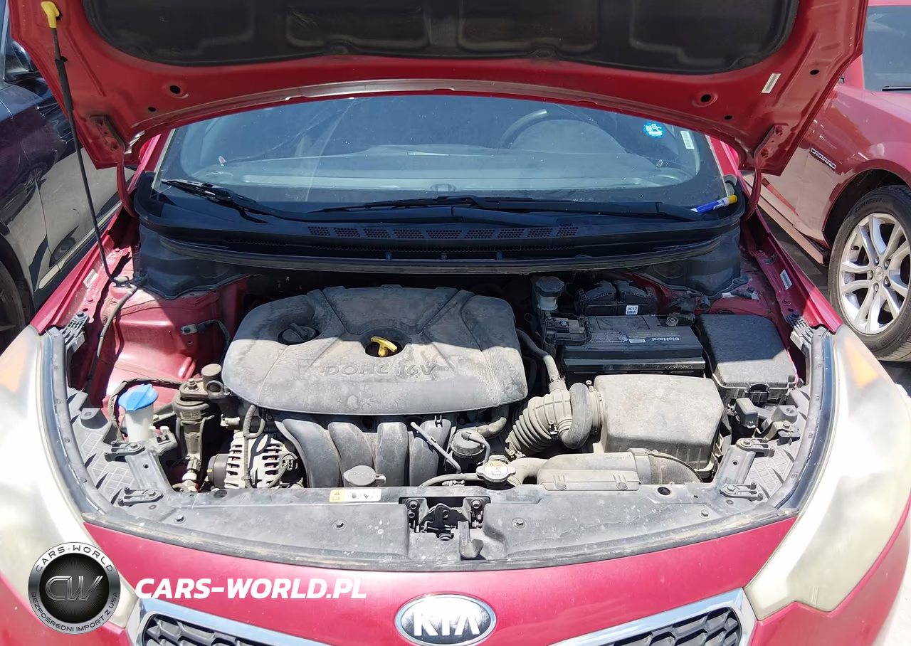 2015 Kia Forte Lx VIN:KNAFX4A69F5255710 - 10