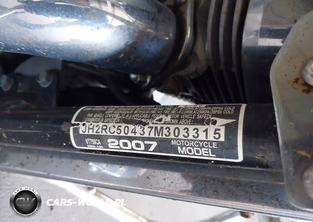 2007 Honda Vt750 VIN:JH2RC50437M303315 - 10
